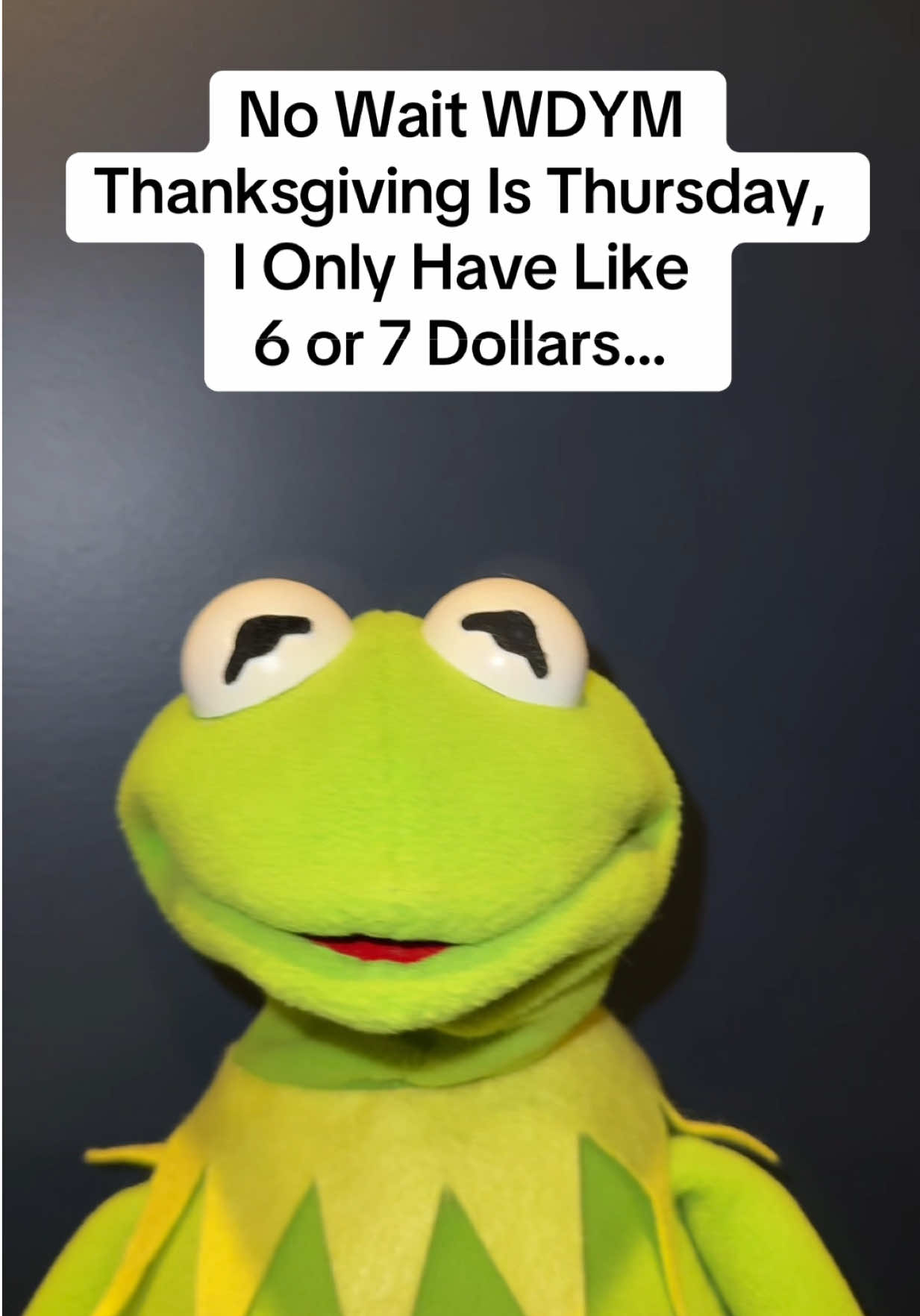 @Kermitthepuppet