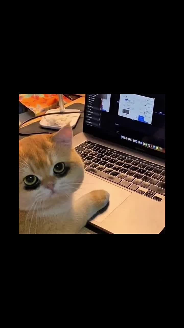 @Seja Analista Gratuitamente