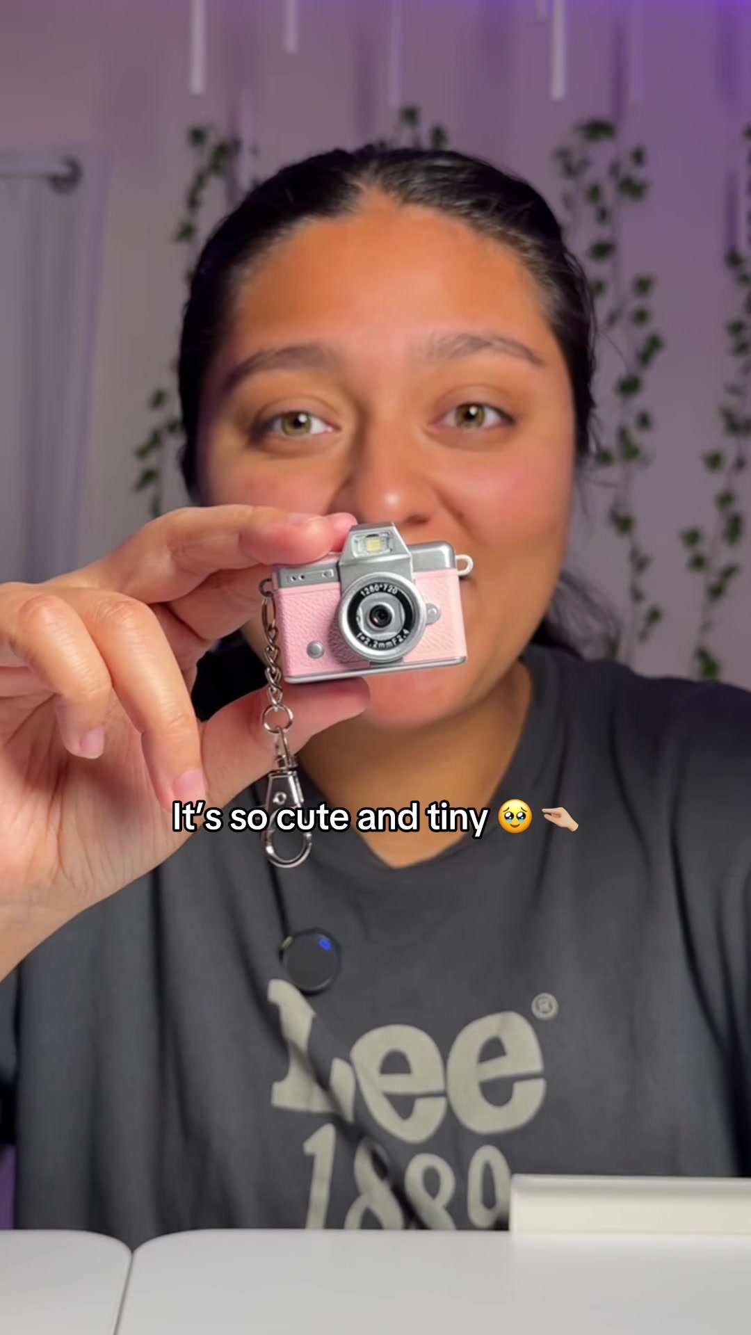 @DoraPalm 💖