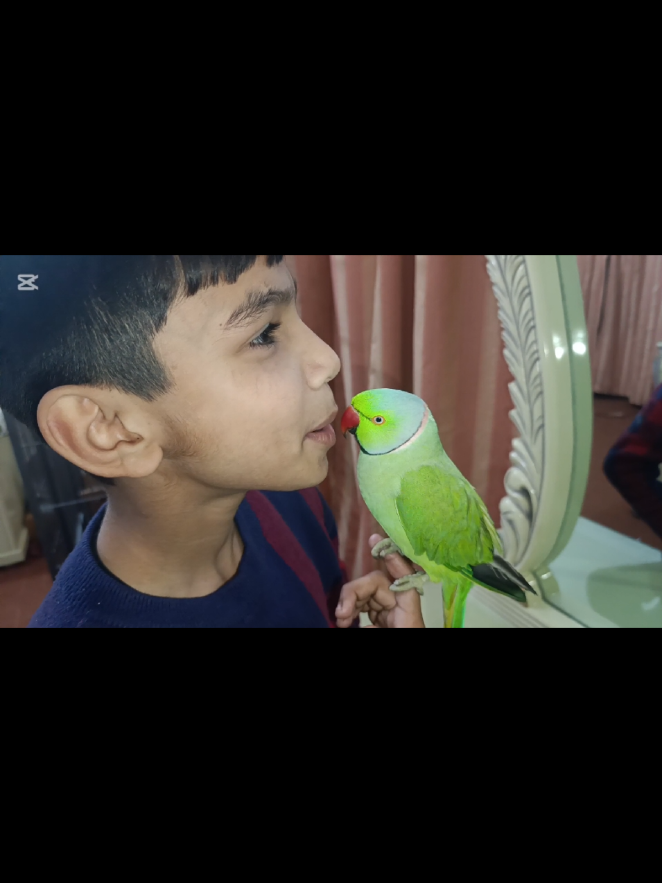 @Mehtab's Pet