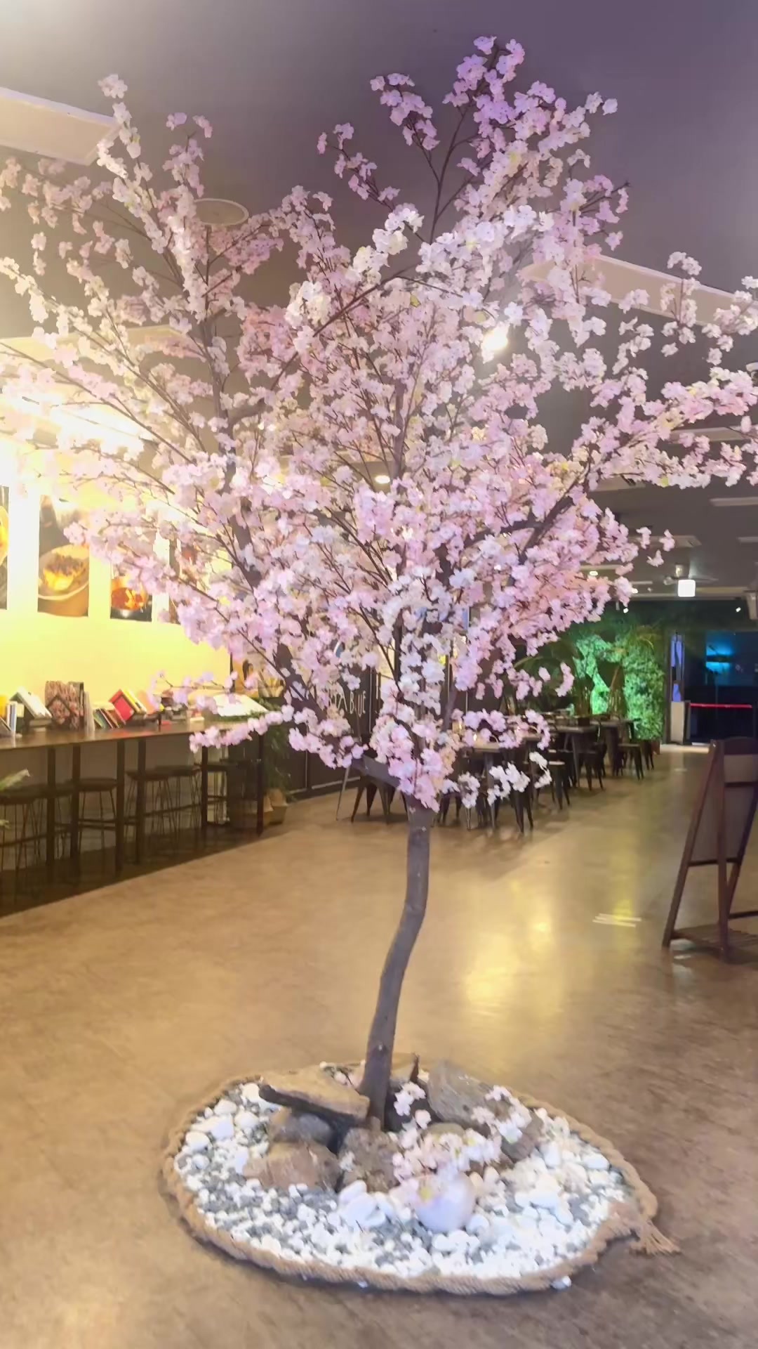 @shaista in korea