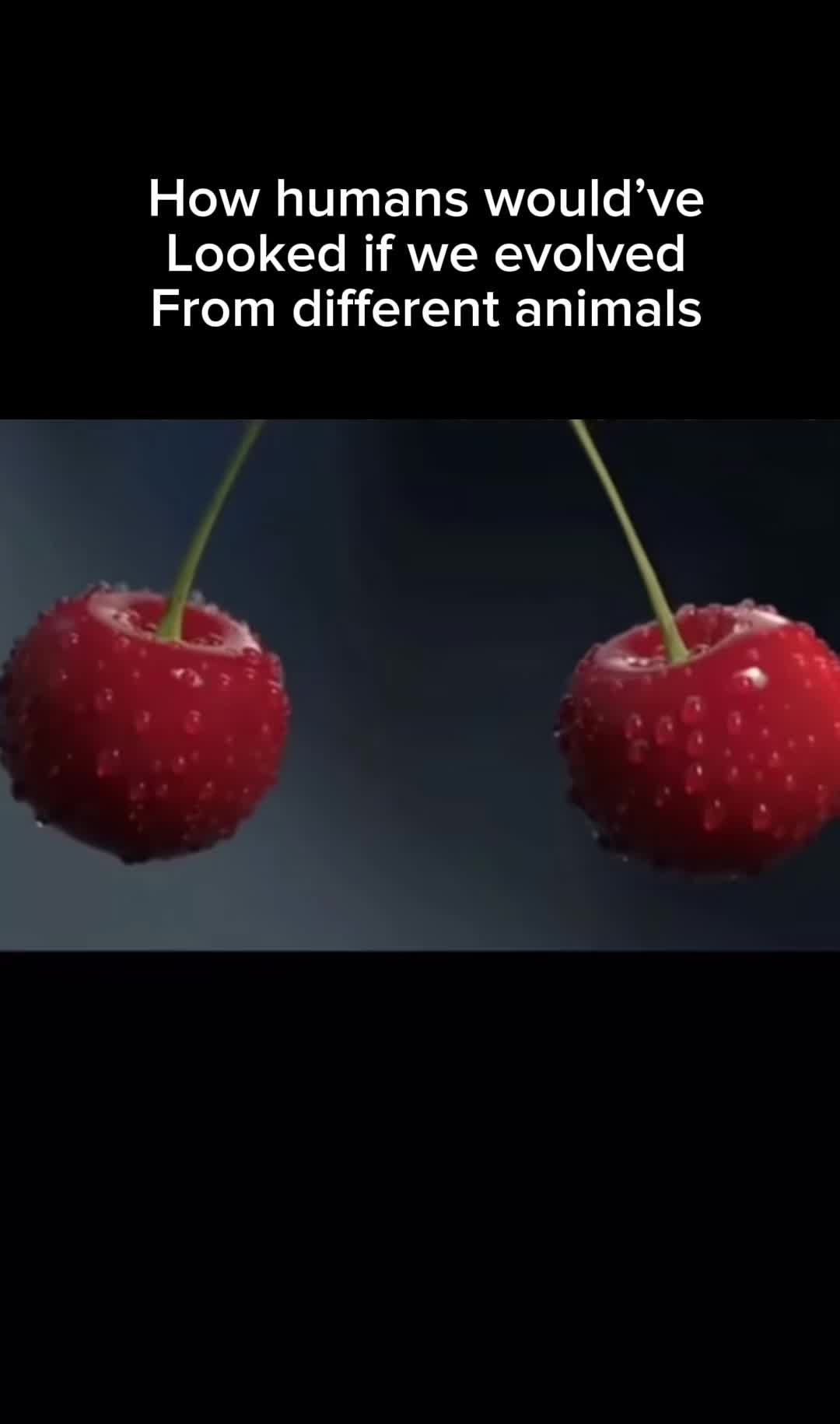 @Gottem