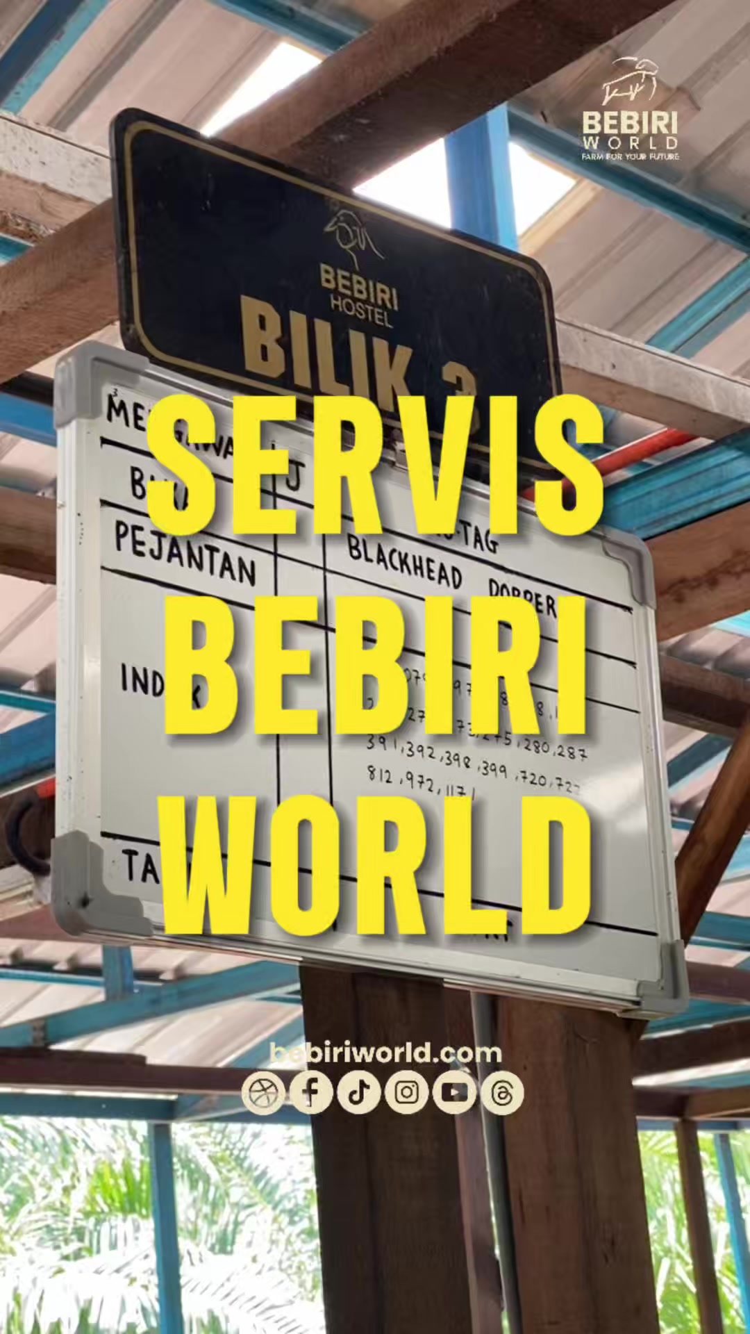 @bebiriworldempire