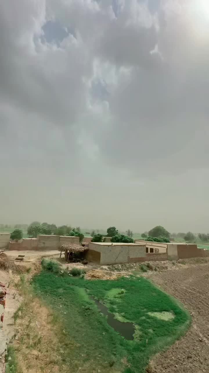 @Mjunaid