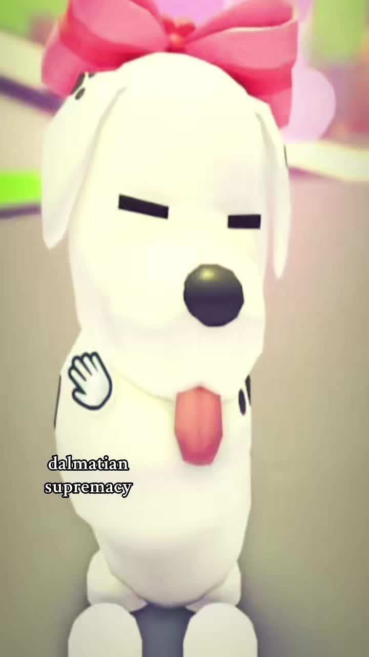 @ห๊ฐ๐ท๐ฅป ๐๐ฅ๐๐ข๐ซ! ๐ ส