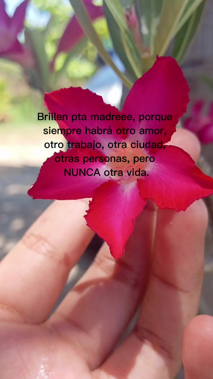 @Aretzi💗