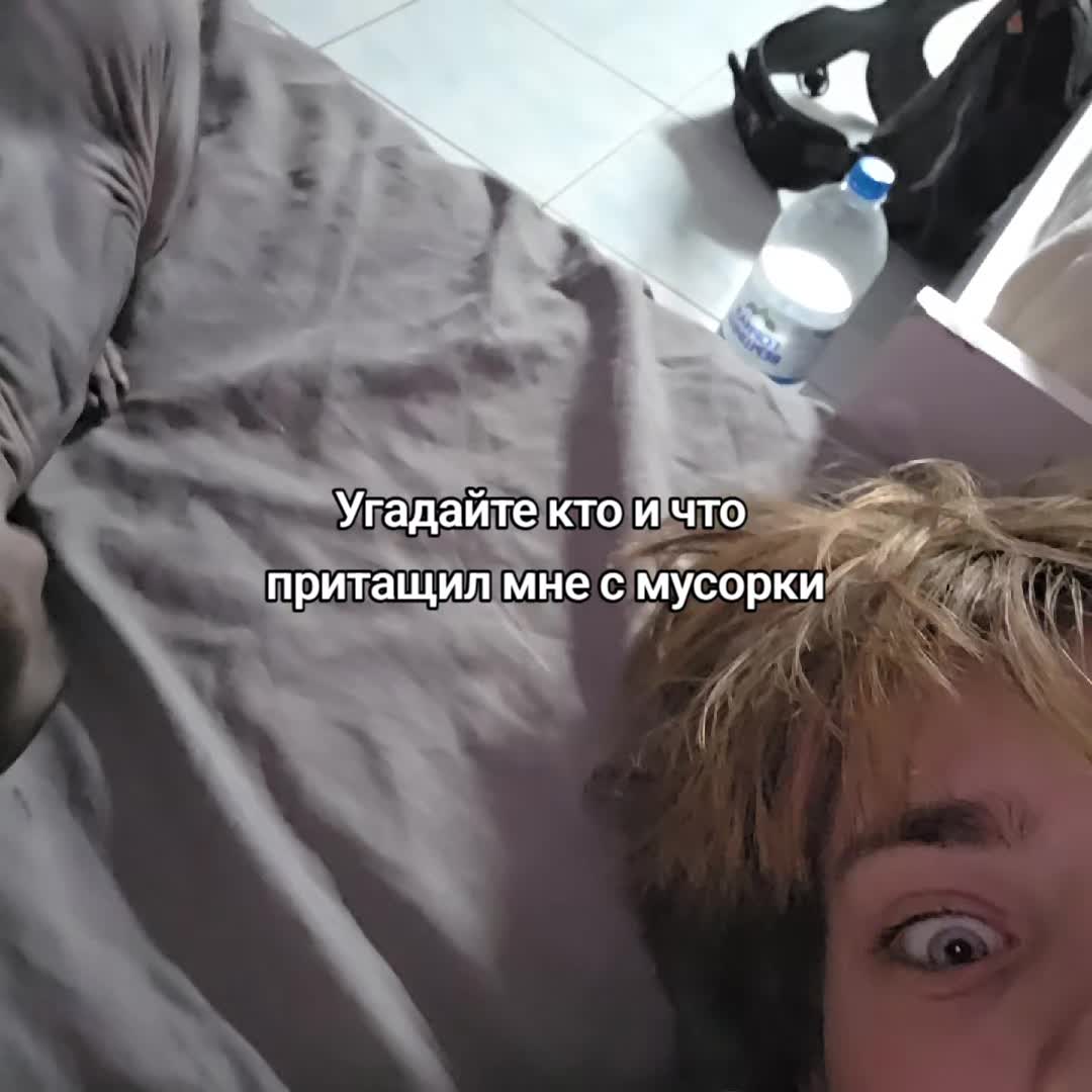 @D0nk