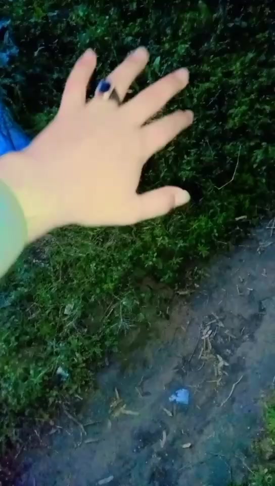 @⏤͟͟͞ •𝐏𝐔𝐊𝐇𝐓𝐎𝐎𝐍𓆪⎯꯭̽🌷