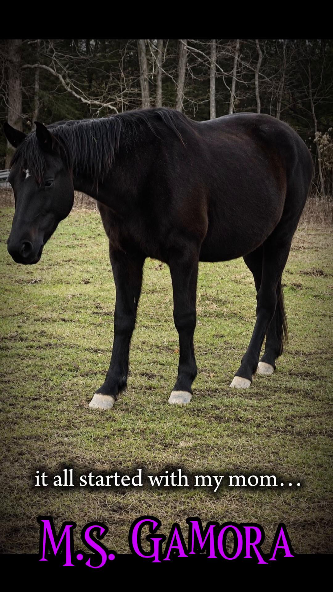 @Libby🐾❤️🐴