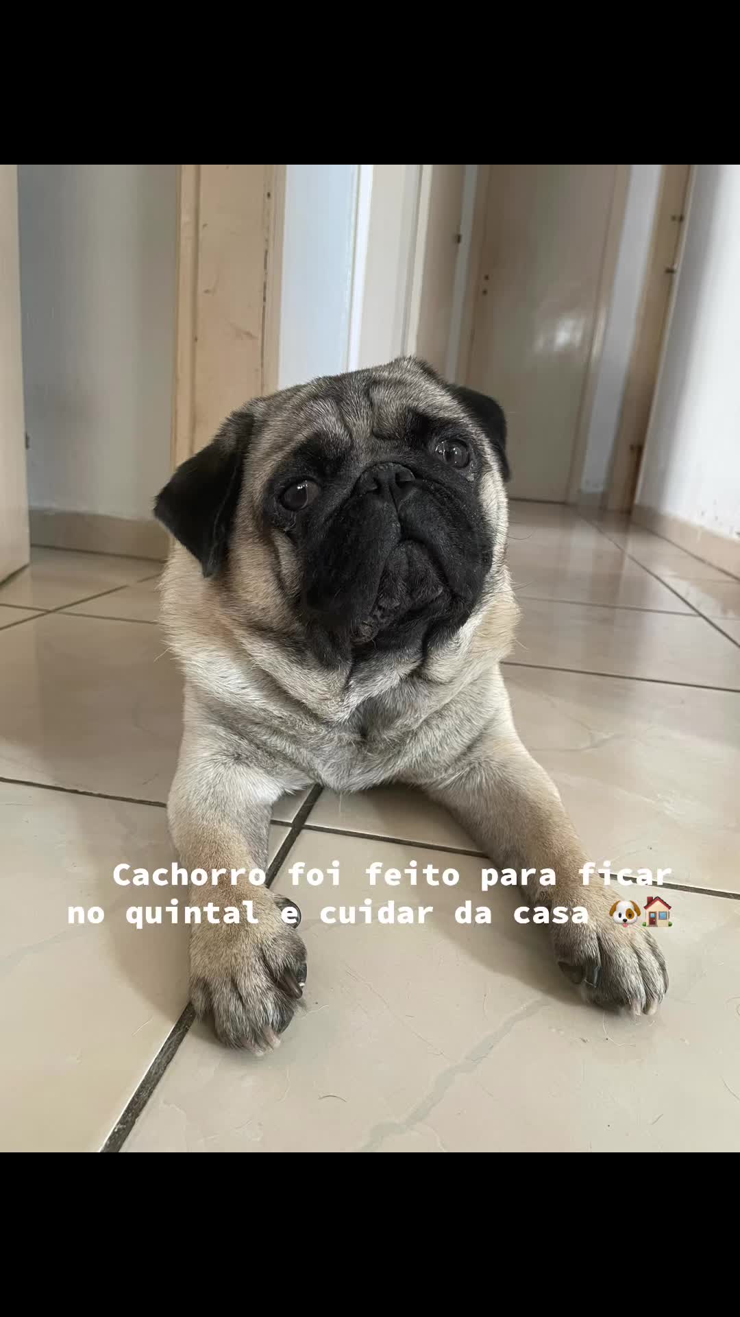 @Isabel Almeida