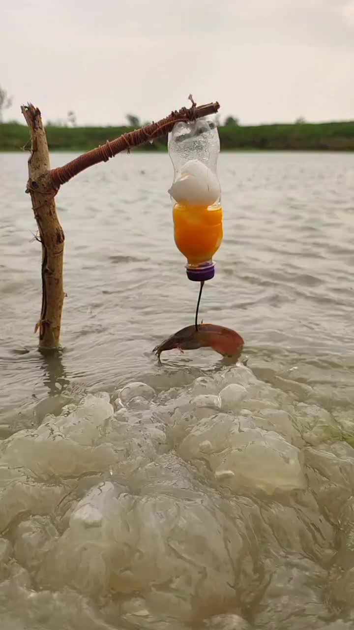 @Fishing