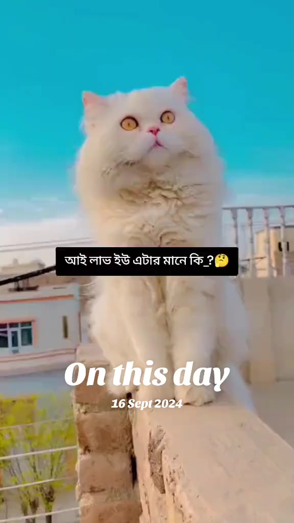 @Crush Boy..!!🌚