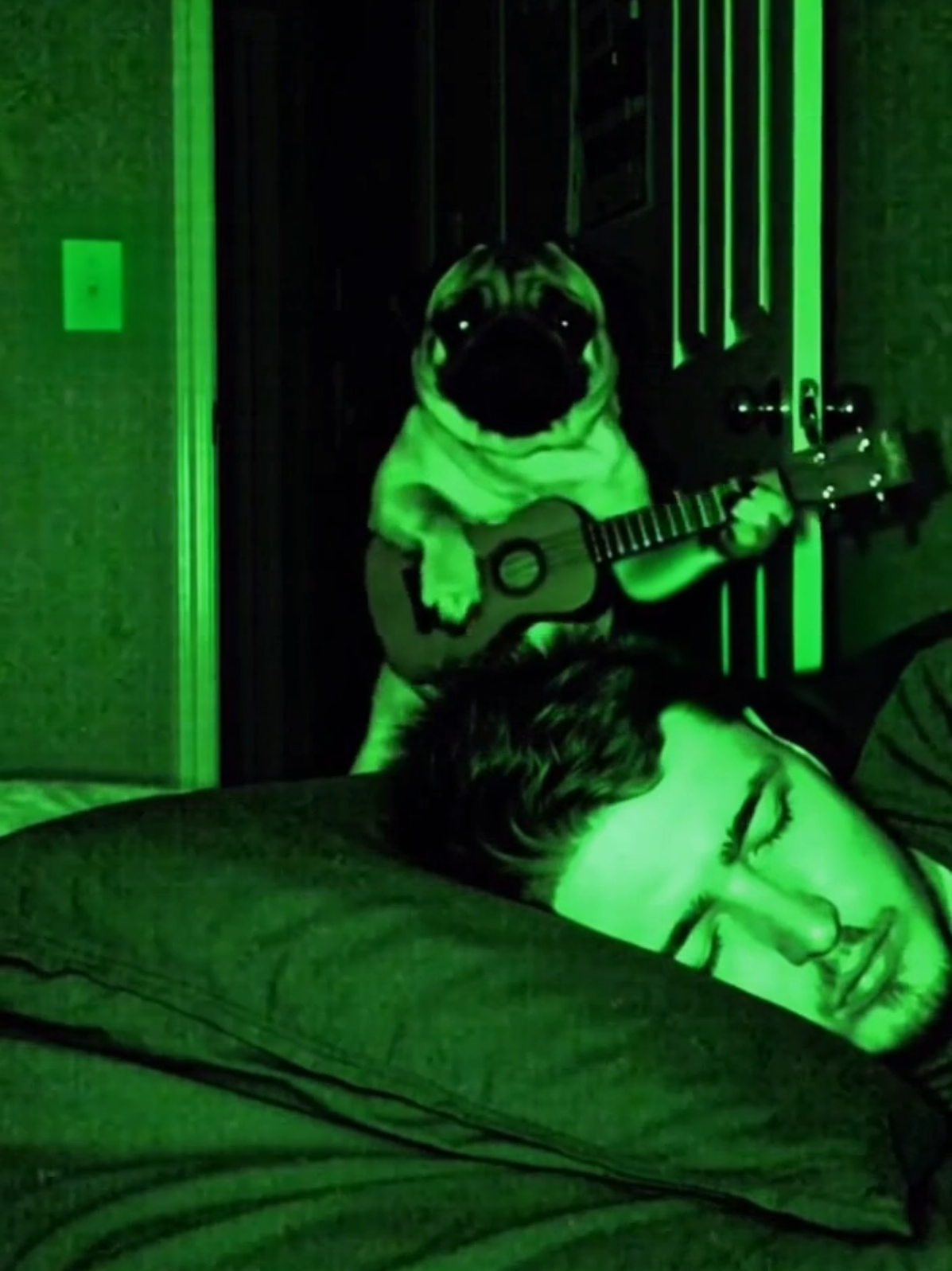 @Pug