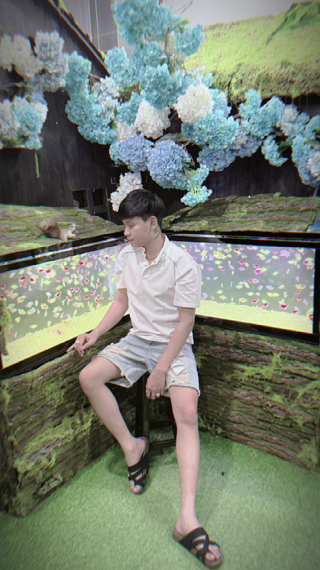 @Tuấn Anh 66