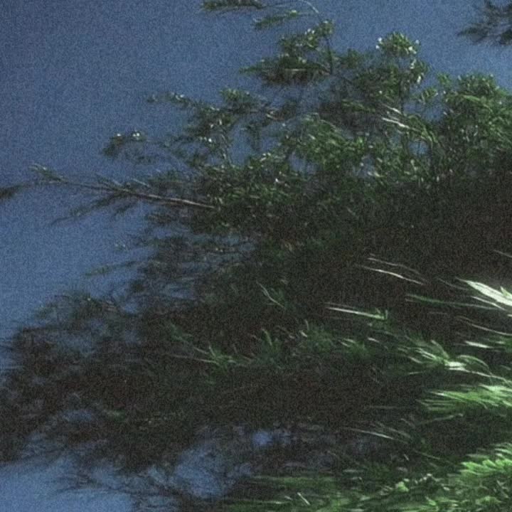 @𝘿𝙄𝙂𝙄𝙏𝘼𝙇𝙄𝙎
