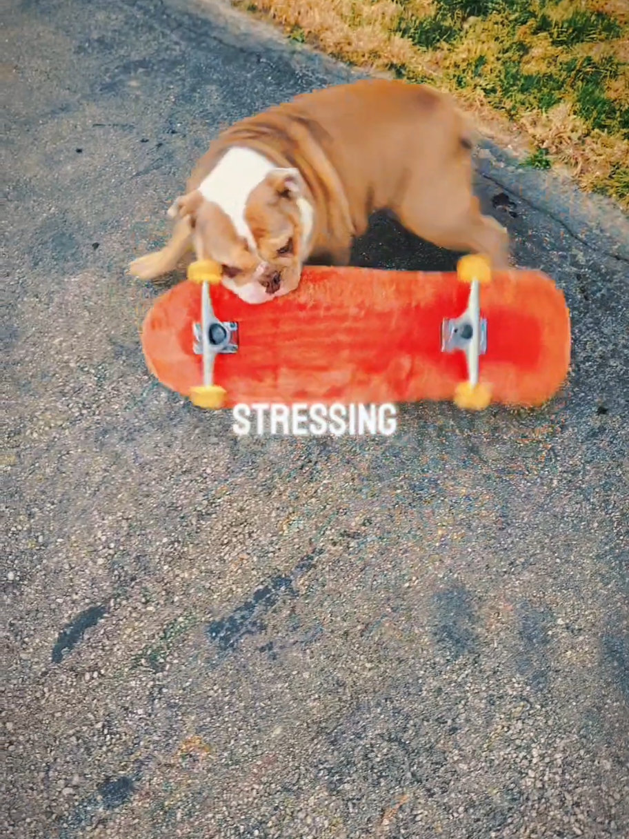 @iamturry513