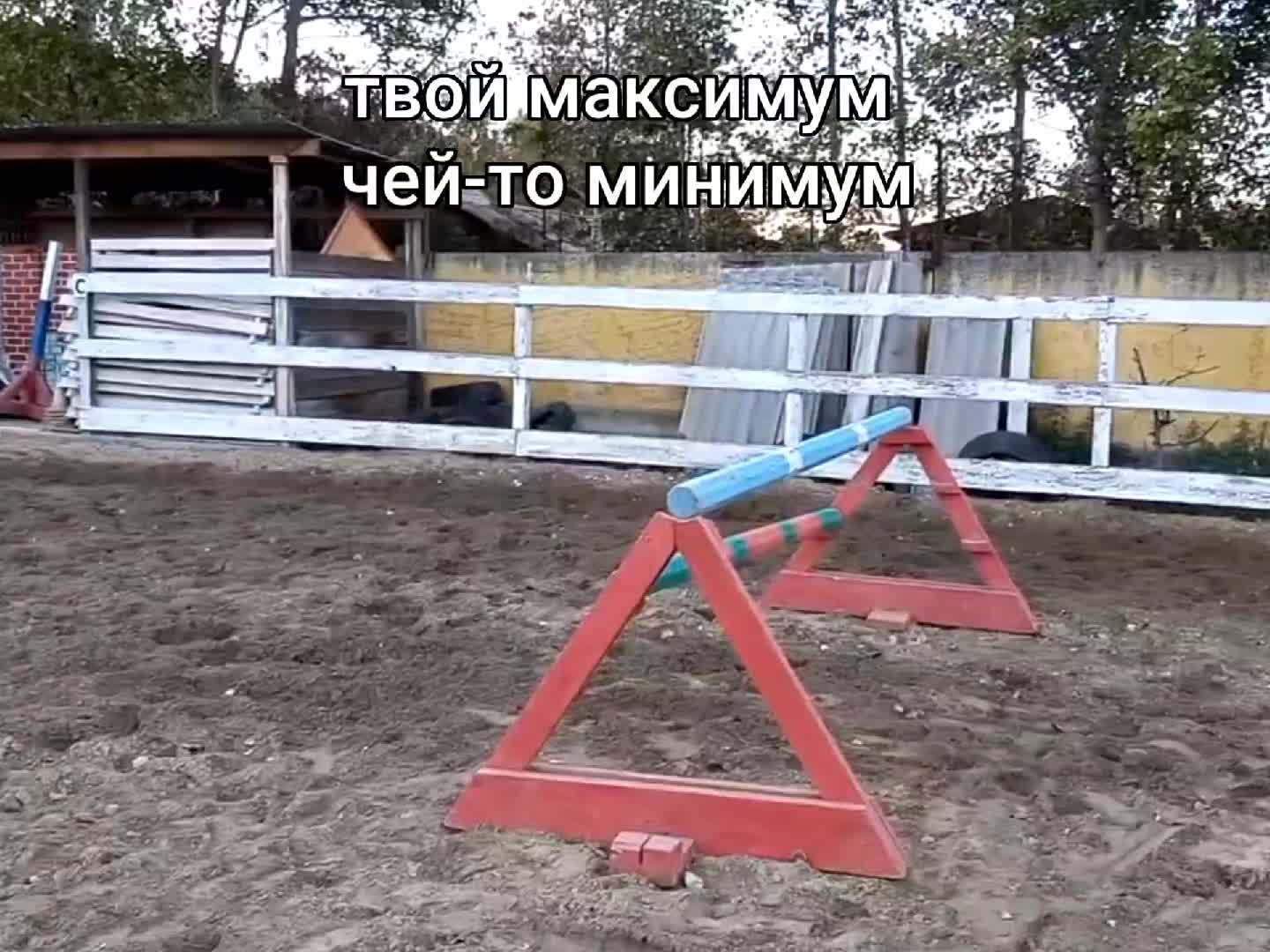 @Lena
