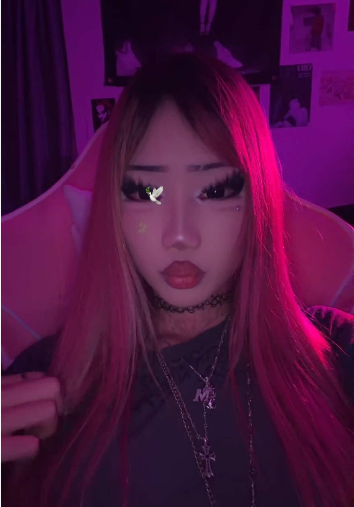 @🕊️