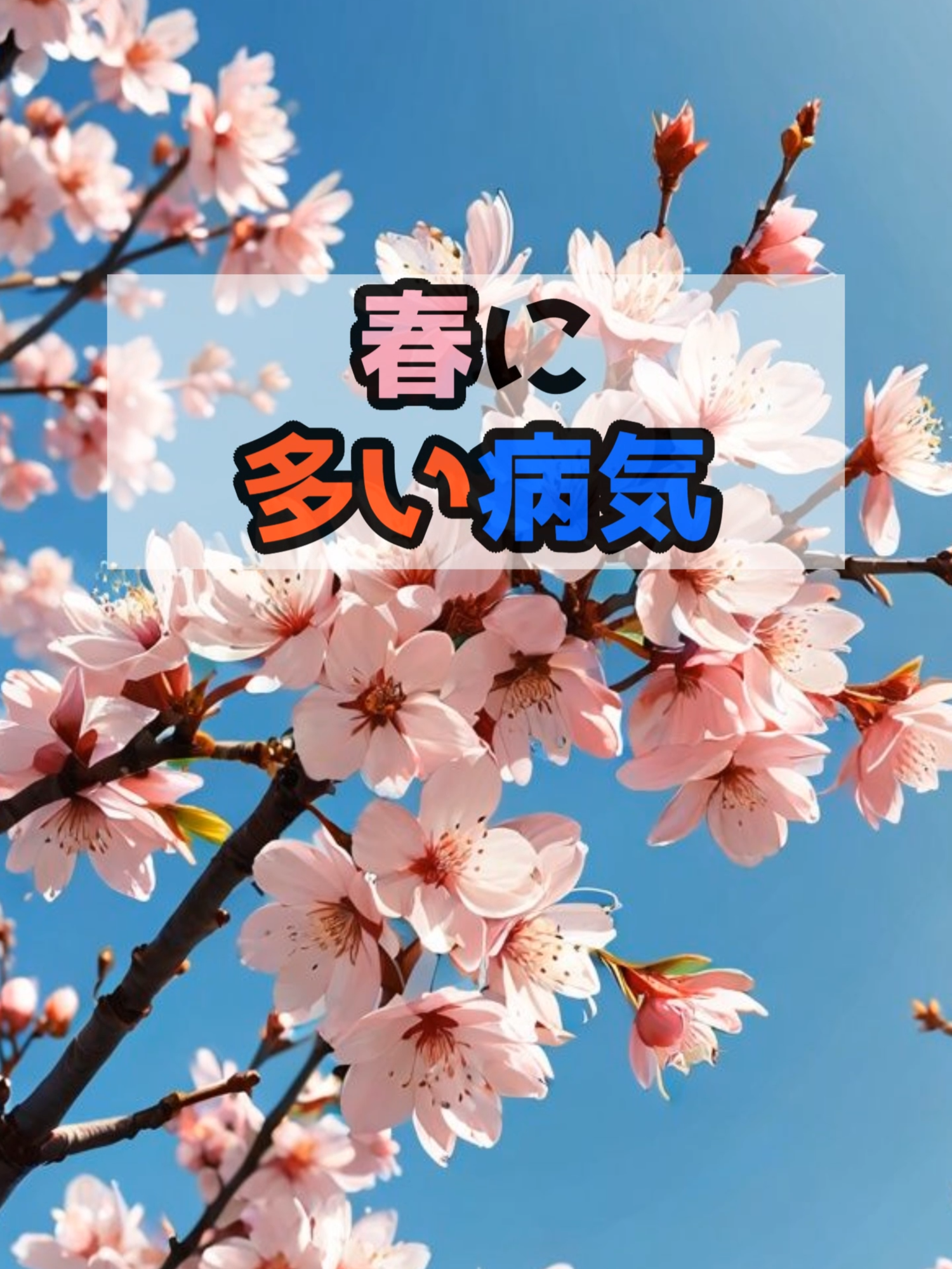 @ランラン【役立つ豆知識】