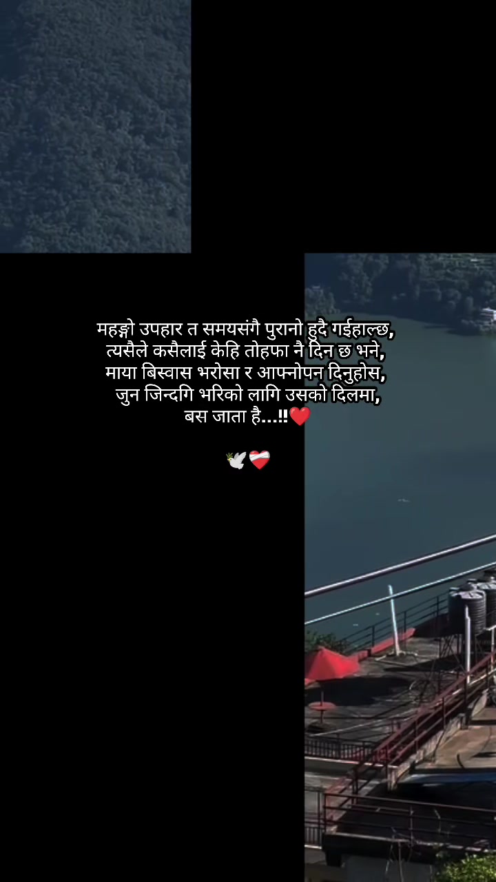 @Sᴀɴᴅᴇsʜ🕊️❤️🩹