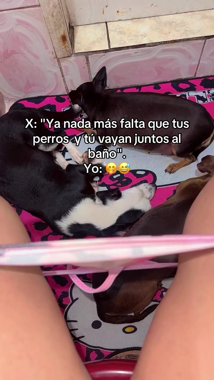 @🎀 Churitos👩🏽&zwj;🦱Kitty🩷🎀