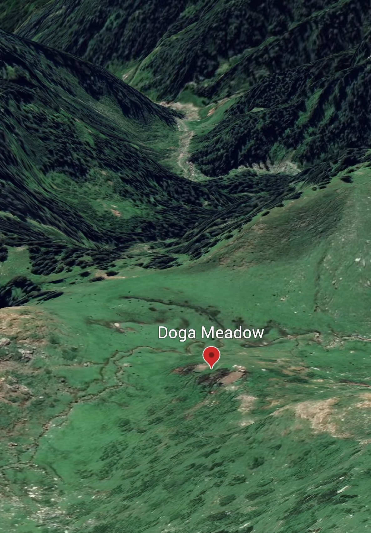 @Go Gooogly Map