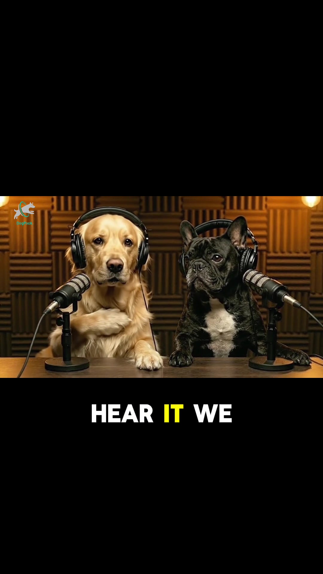 @DogPack