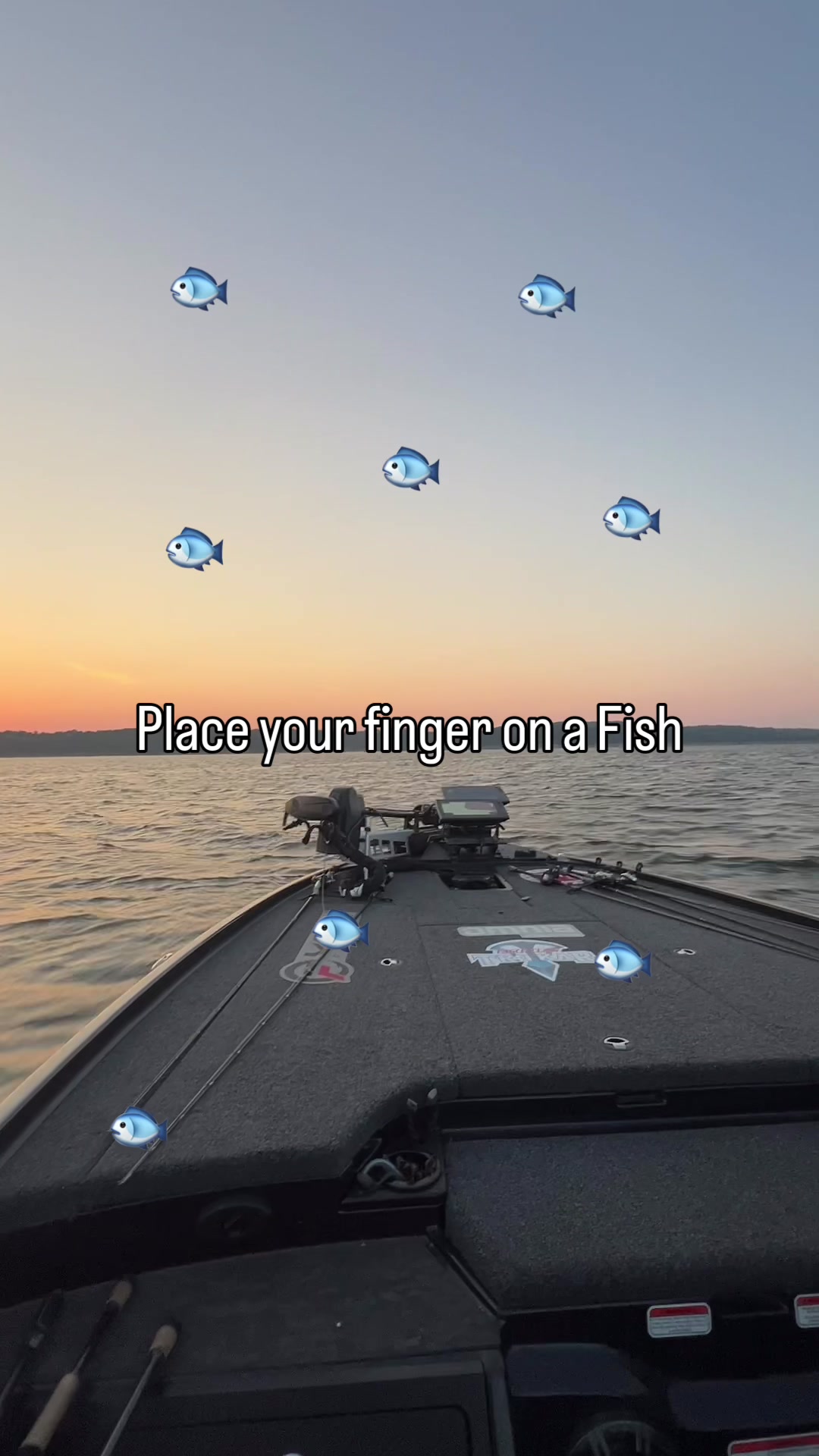 @Motion Fishing