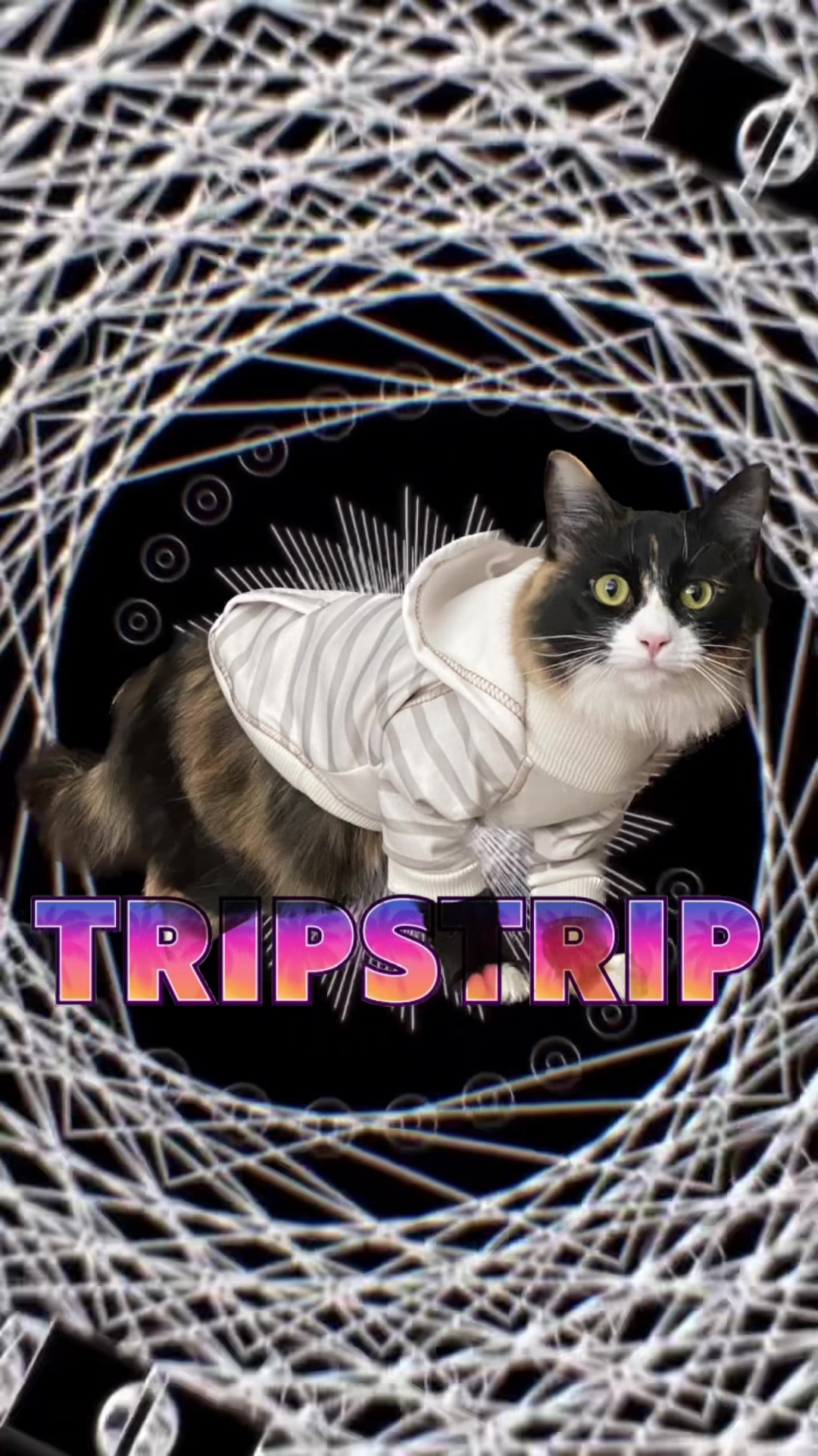 @TripStrip