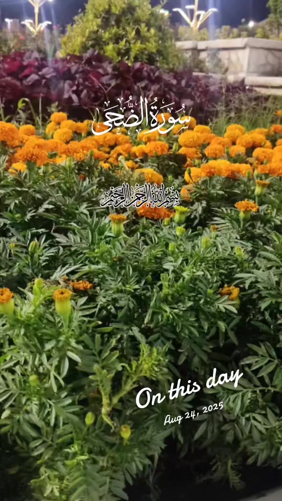 @NoorTales