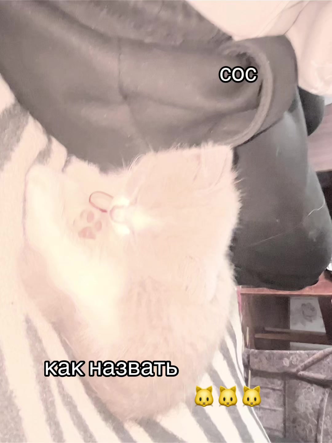 @weokiss
