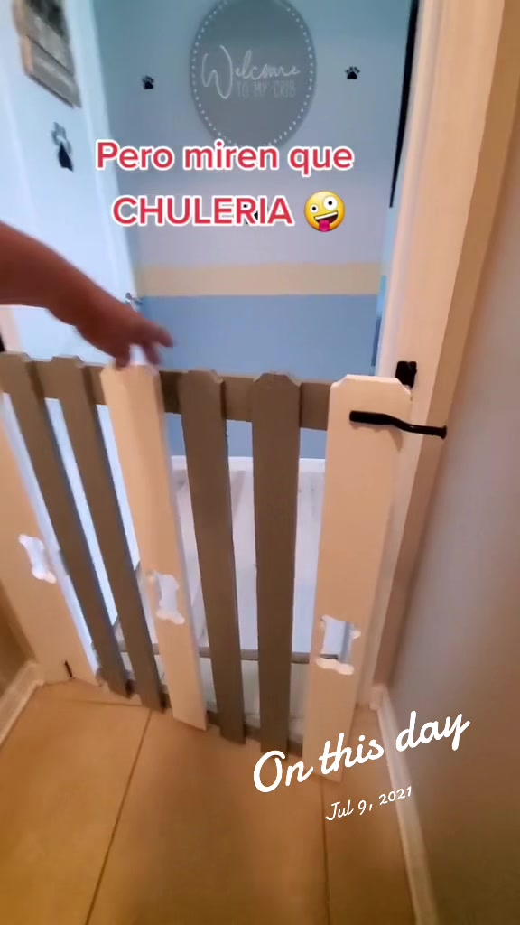 @Oreo & Cookie