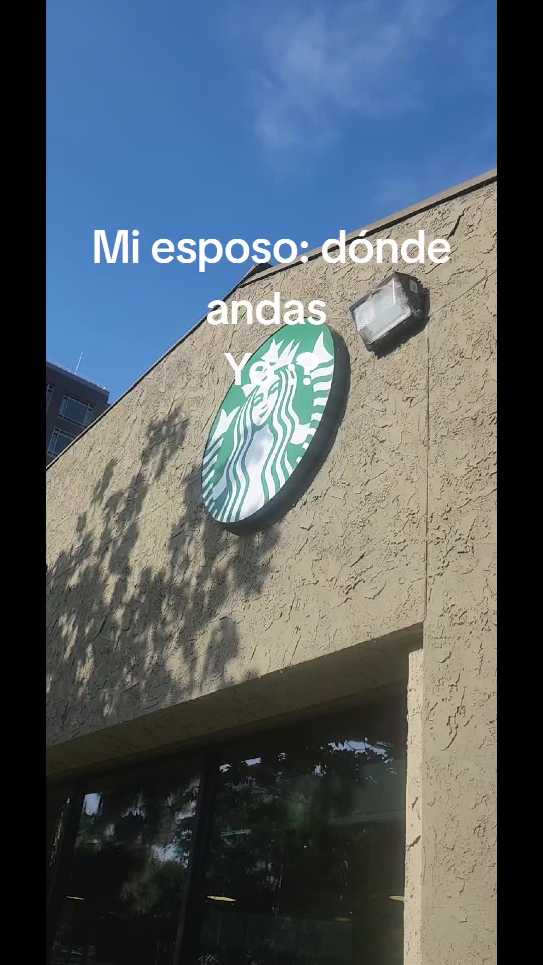 @magda