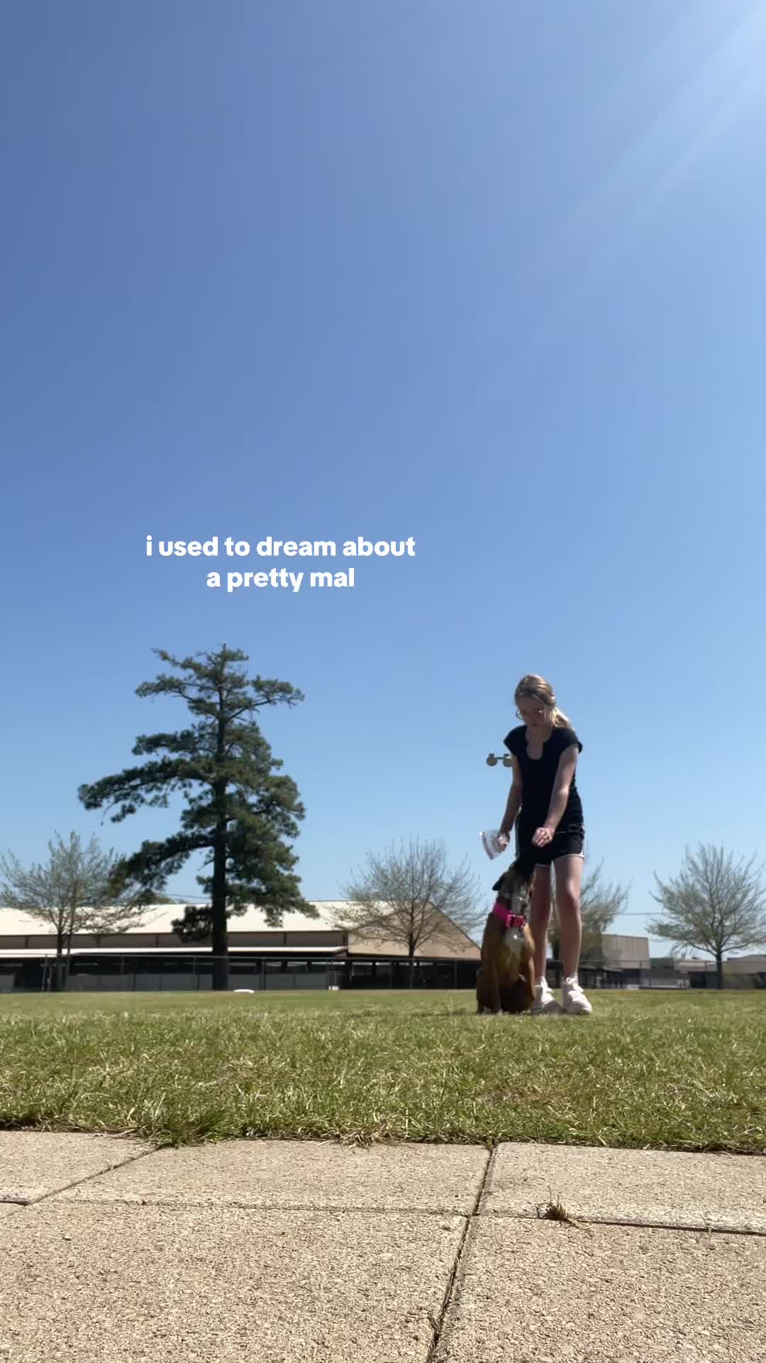 @Mavis L. Wanczyk