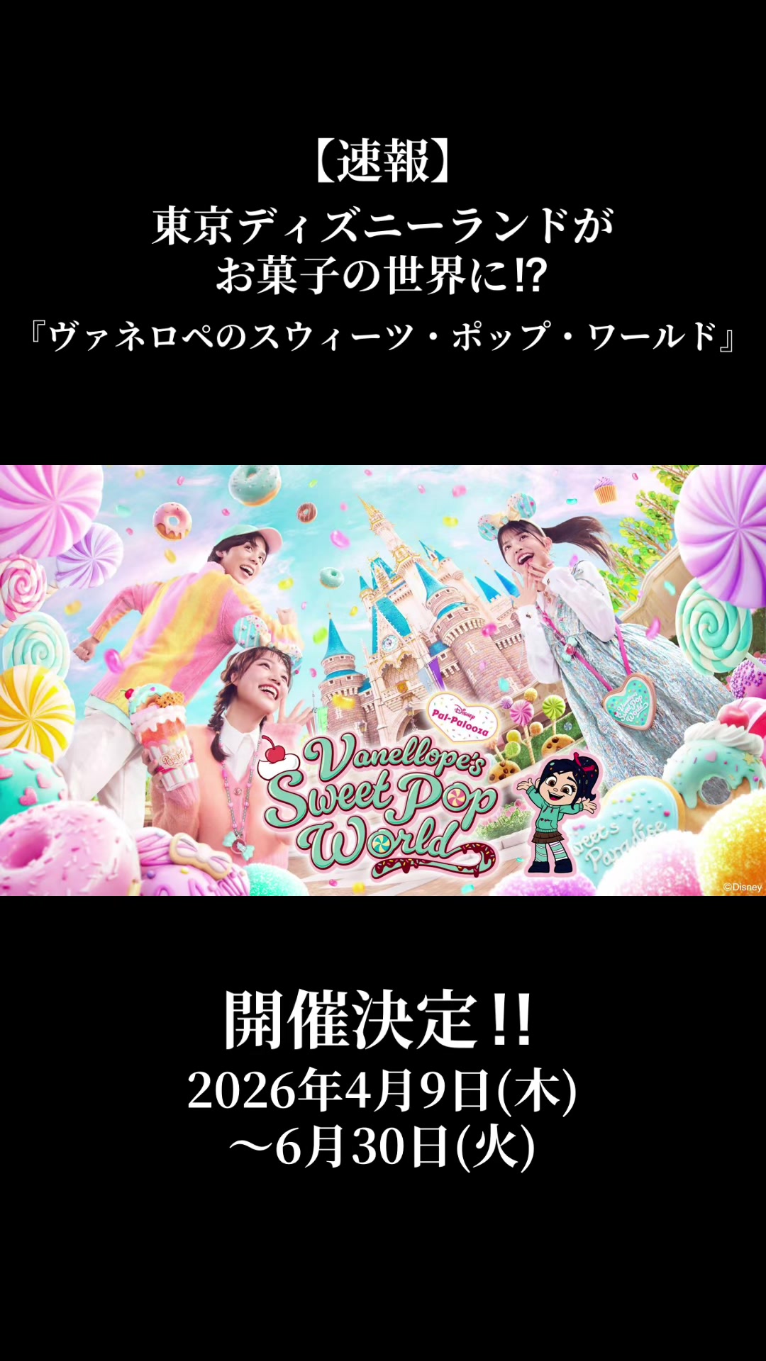 @厳選‼︎おすすめスポット