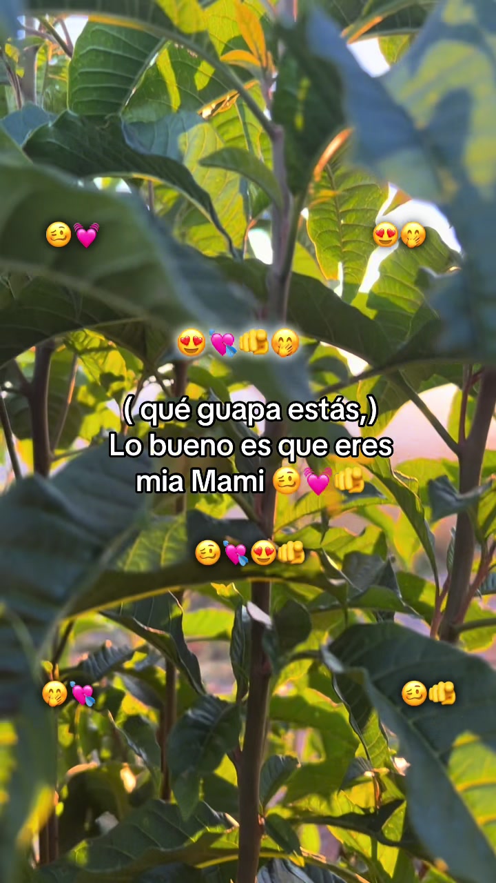 @🧃fracesgtjr🧃