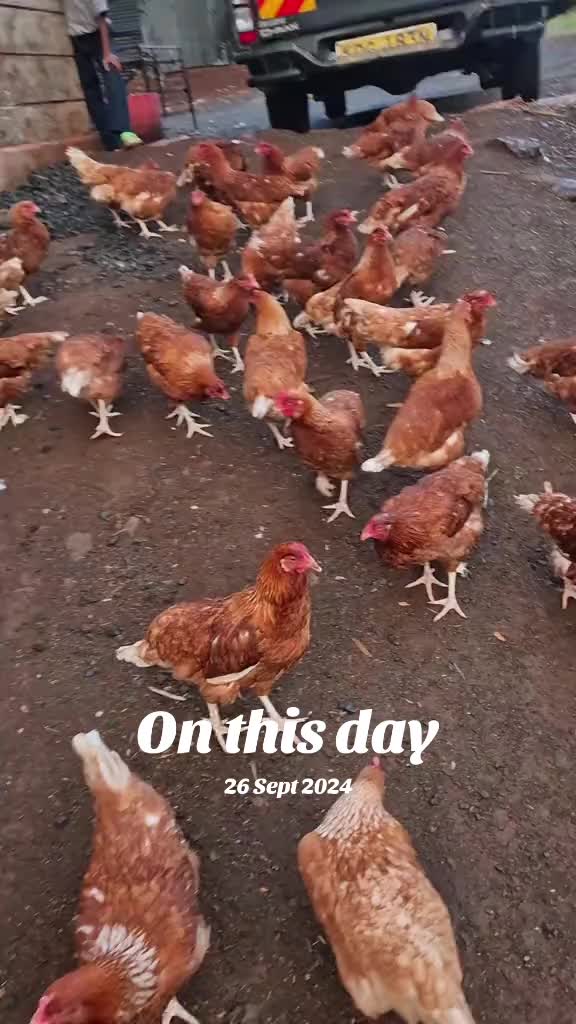 @stepfarm