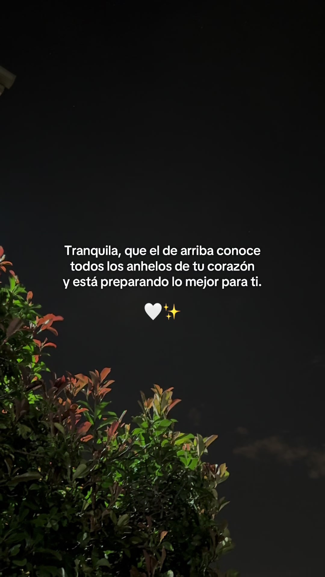 @🌻✨𝐸𝐿𝐼𝒵𝒜𝐵𝐸𝒯𝐻✨🌻
