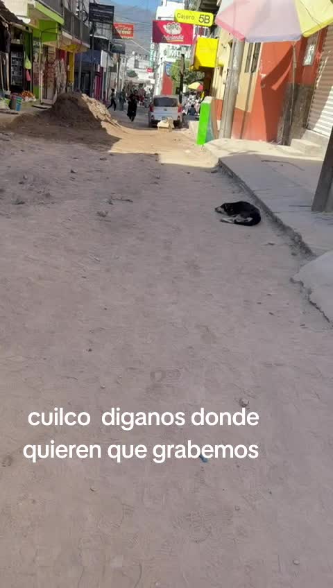 @Saul🫡🦂🌴💢🇬🇹