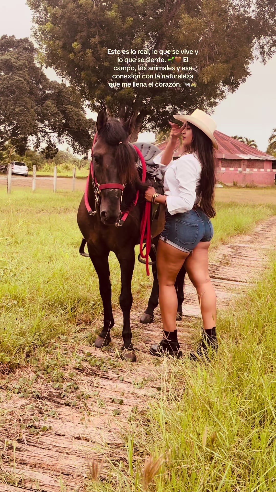 @Katherine Perez