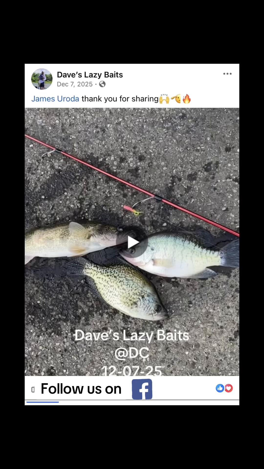 @Dave’s Lazy Baits