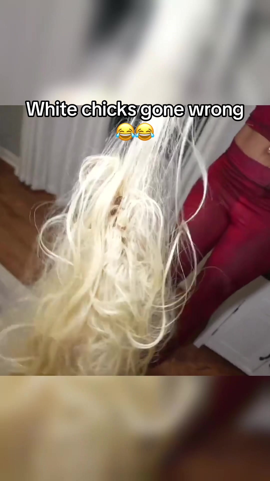 @Clipsofacentury