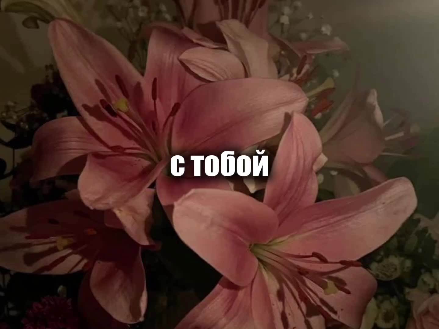 @музыка для липсингов