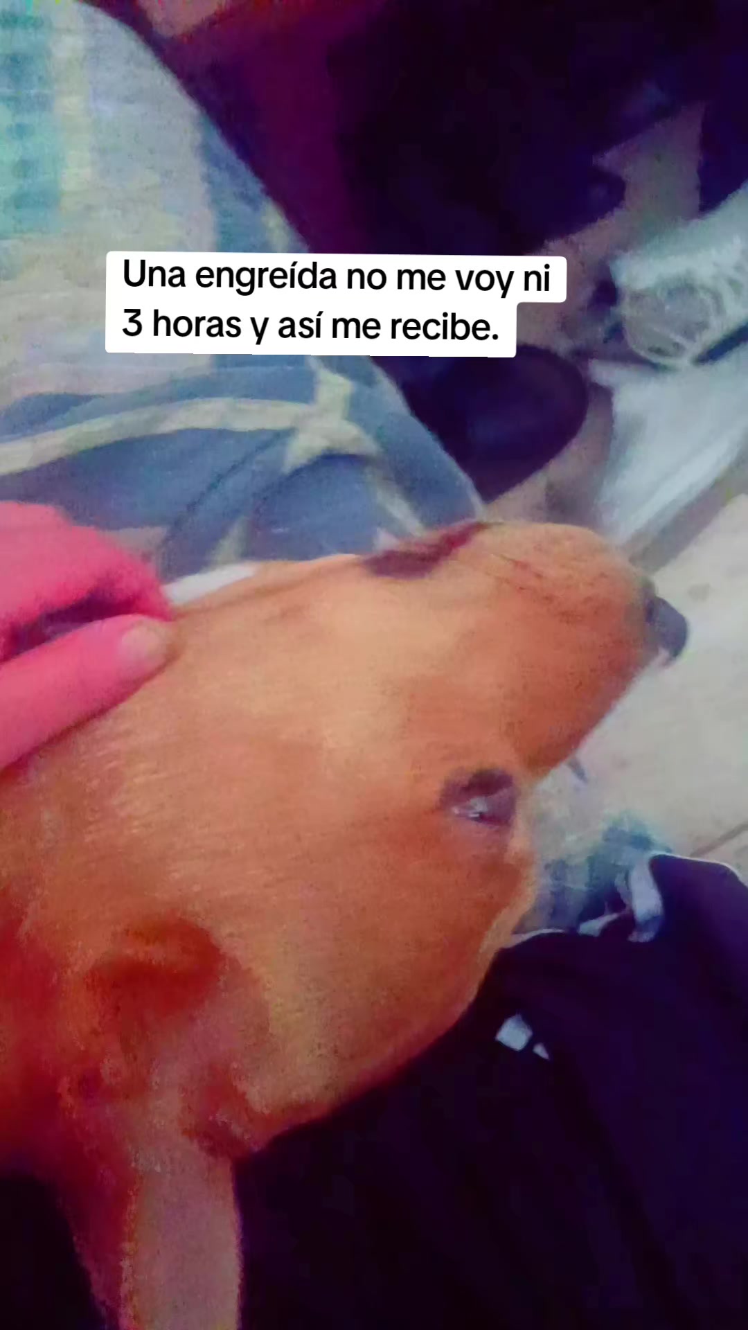 @Raul Alarc&oacute;n Miranda