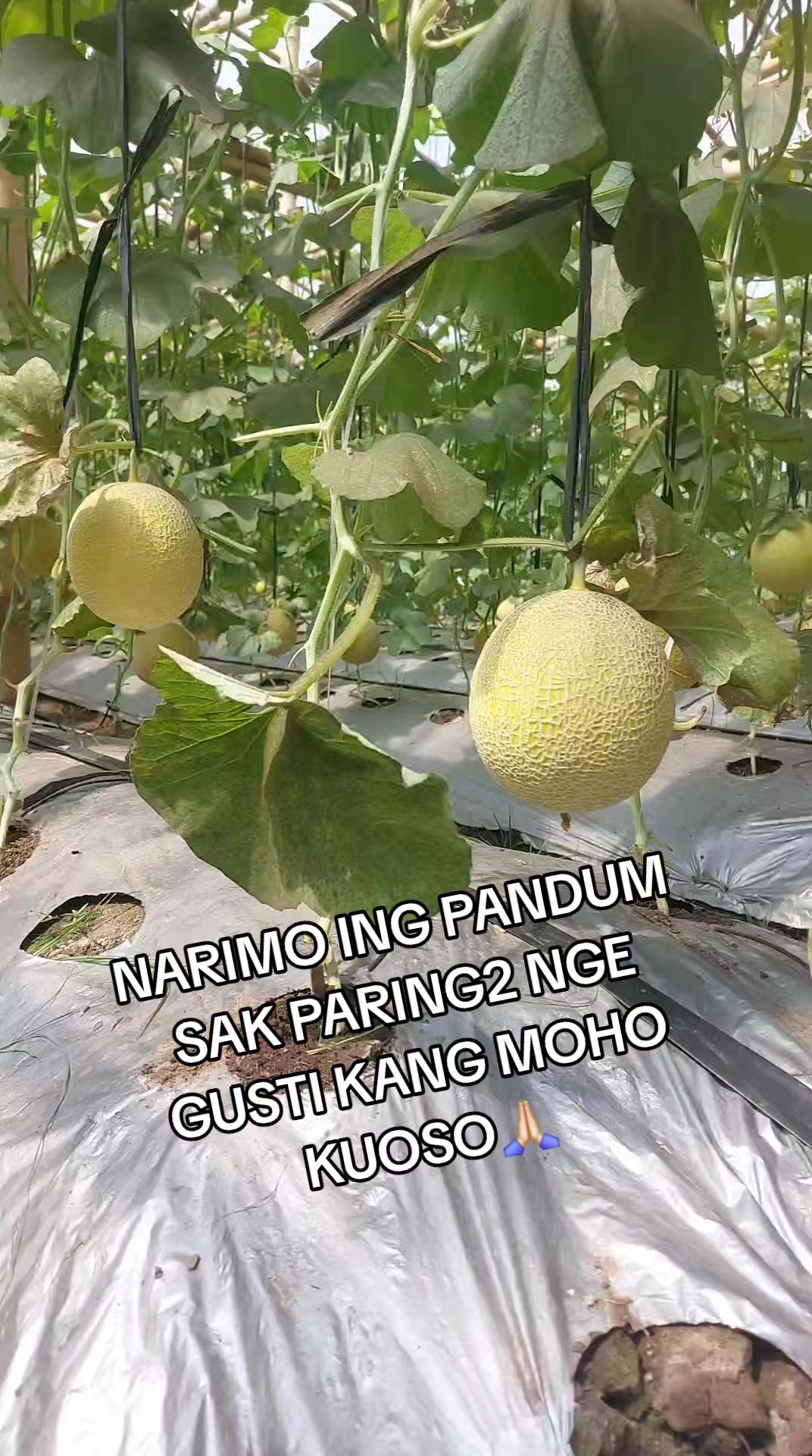 @SALES KEPO