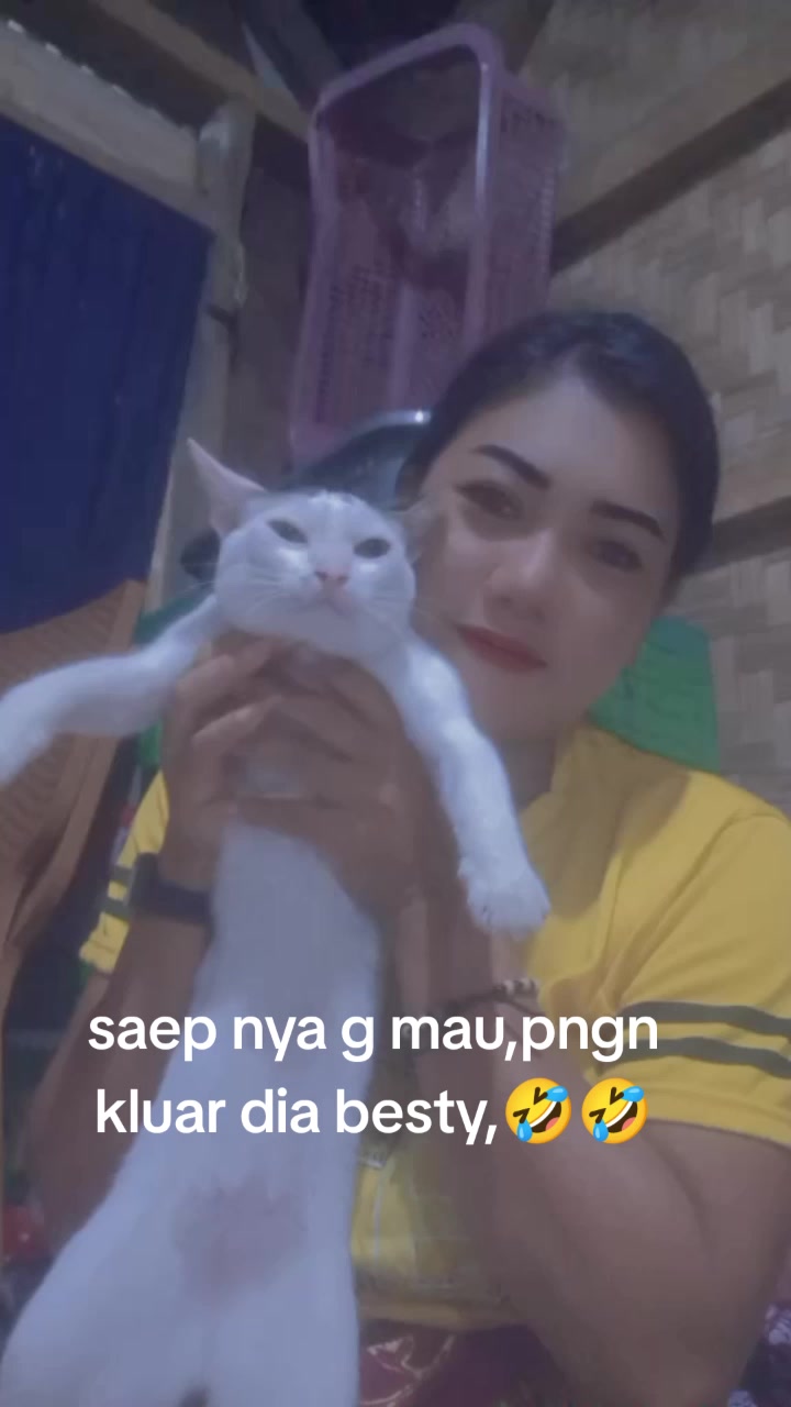 @Linah rendi