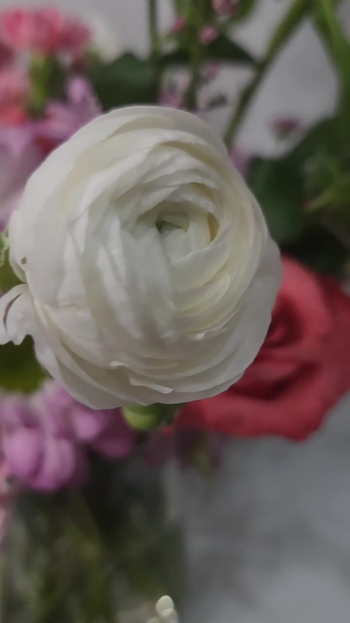 @Audrey