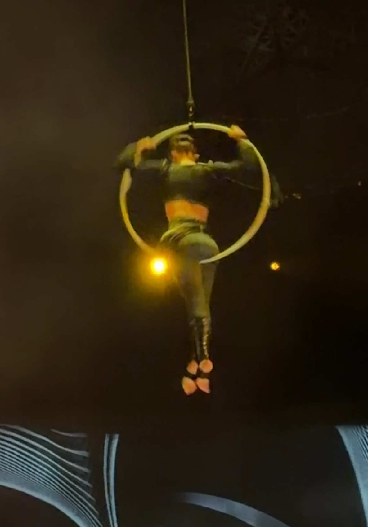 @alla.aerialist_laperle
