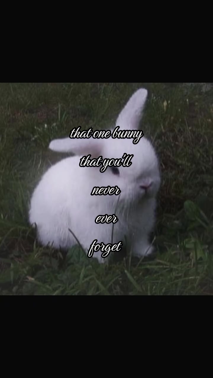 @๐ ๐๐๐๐โโ๐๐ก๐ก3๐๐๐