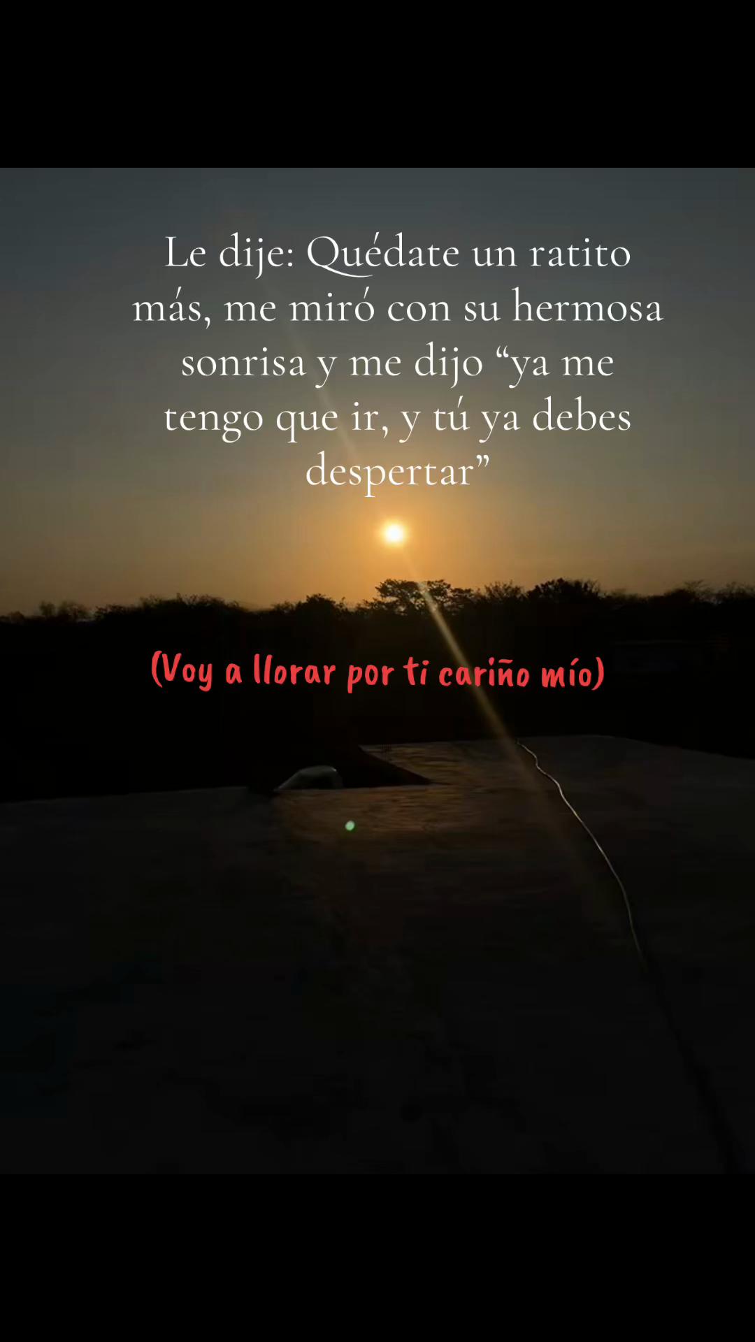 @Alondra Cortés